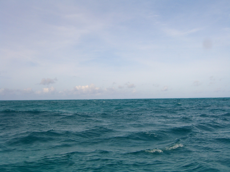 f:id:TeramotoM:20120710085719j:image:w360