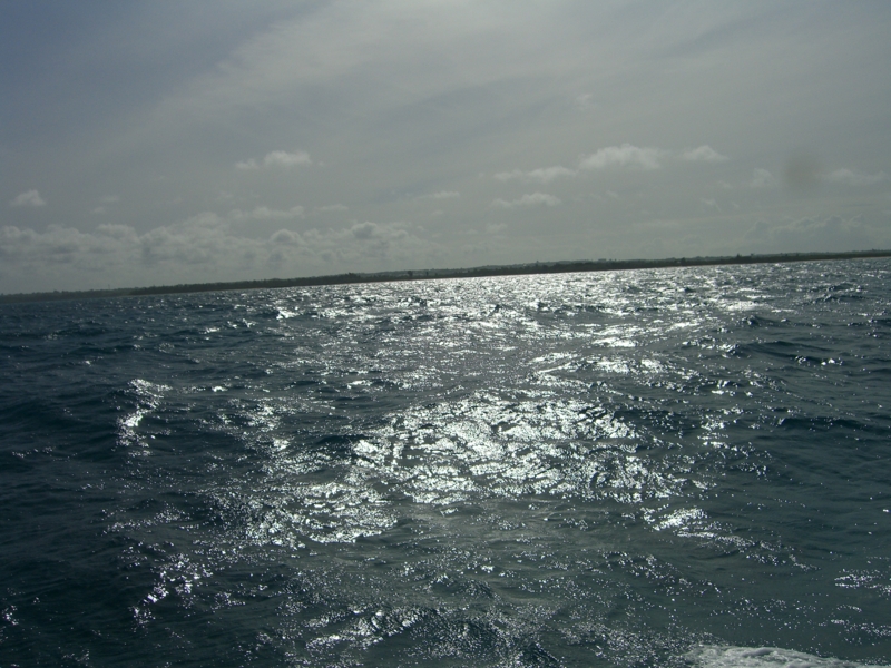 f:id:TeramotoM:20120710090144j:image:w360 f:id:TeramotoM:20120710090144j:image:w360