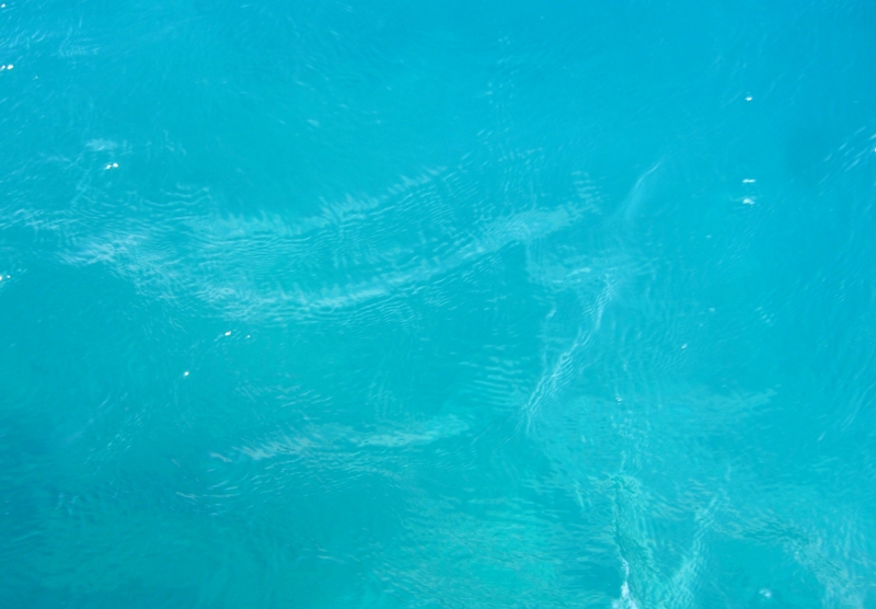 f:id:TeramotoM:20120710092026j:image:w360