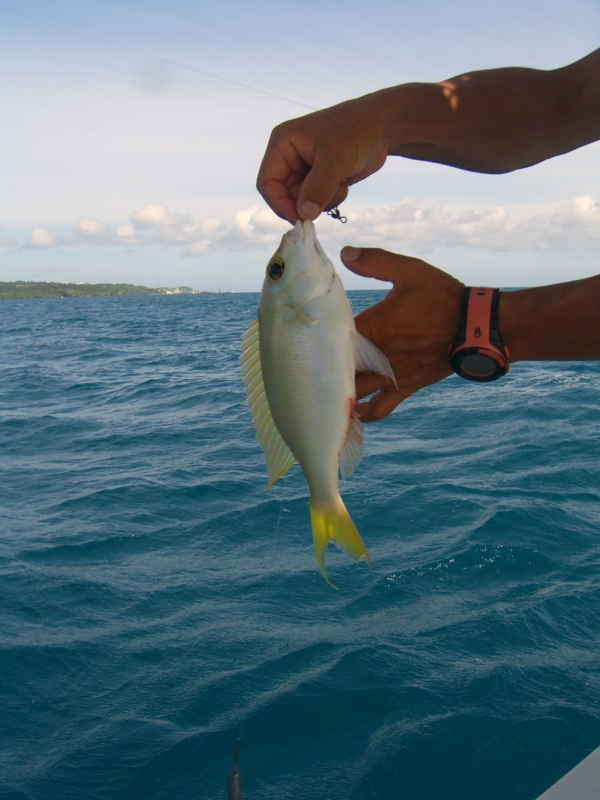 f:id:TeramotoM:20120710094208j:image:w360