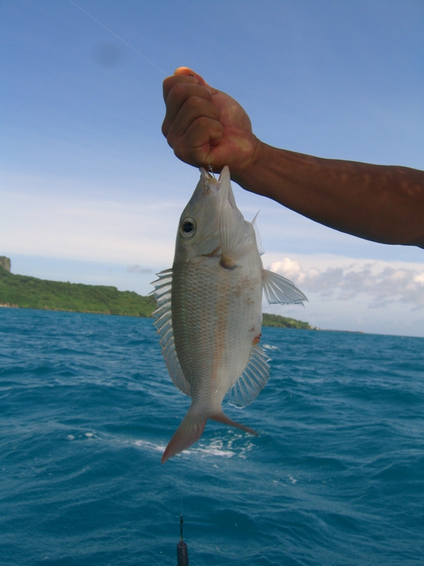 f:id:TeramotoM:20120710103041j:image:w360