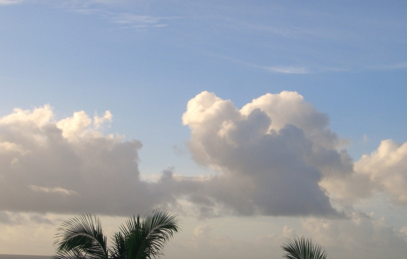 f:id:TeramotoM:20120711063922j:image:w360