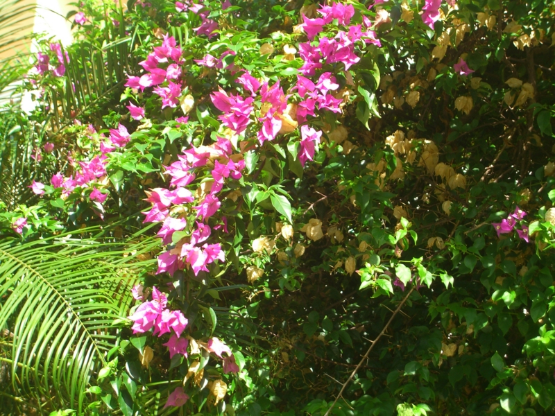 f:id:TeramotoM:20120711090426j:image:w360