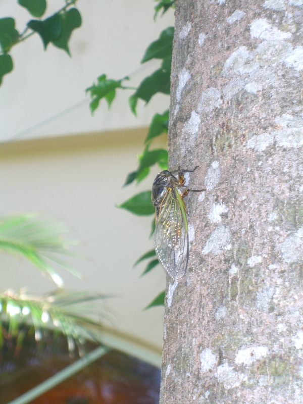 f:id:TeramotoM:20120711090627j:image:w360