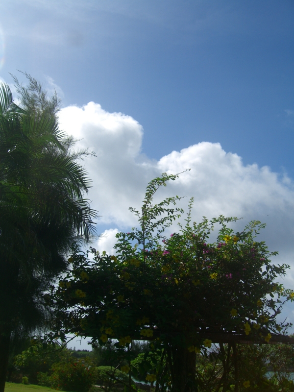 f:id:TeramotoM:20120711090703j:image:w360