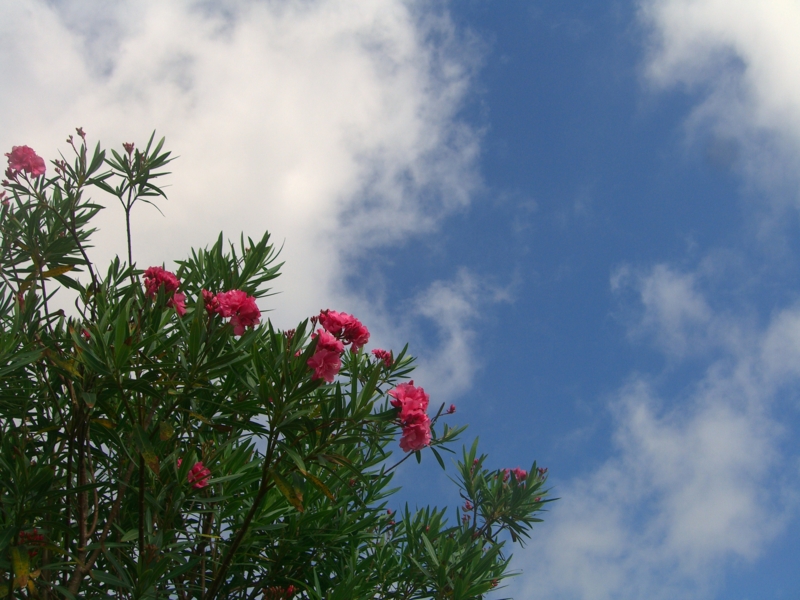 f:id:TeramotoM:20120711091736j:image:w360