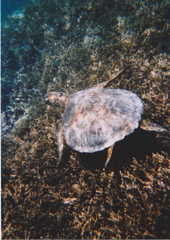 f:id:TeramotoM:20120729105832j:image:w360