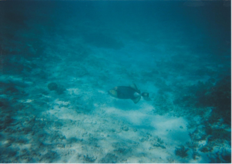 f:id:TeramotoM:20120729113850j:image:w360