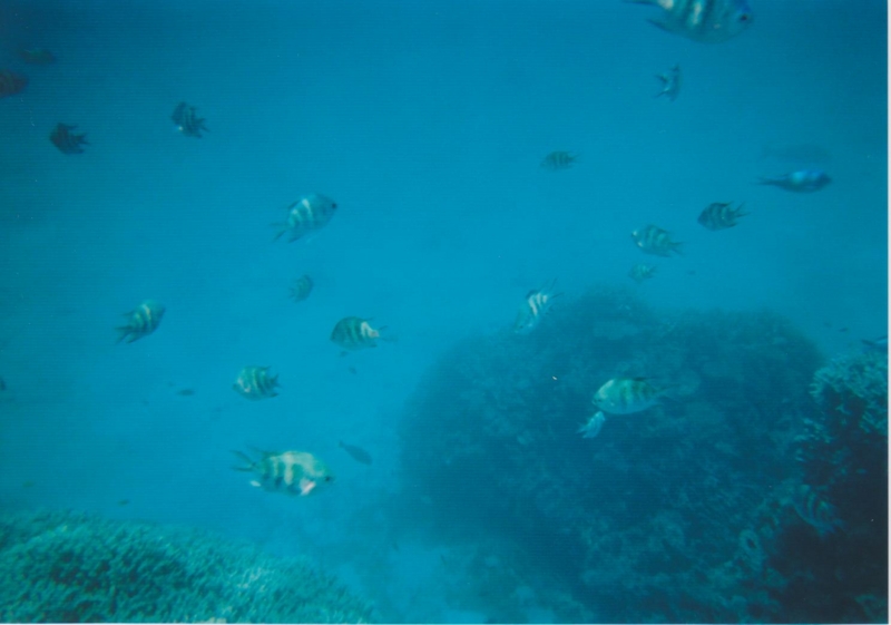 f:id:TeramotoM:20120729113851j:image:w360