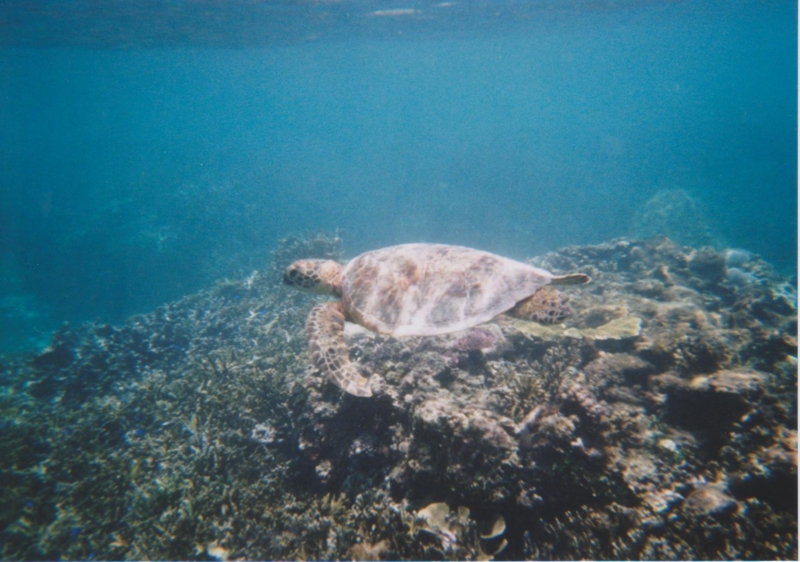 f:id:TeramotoM:20120729113859j:image:w360