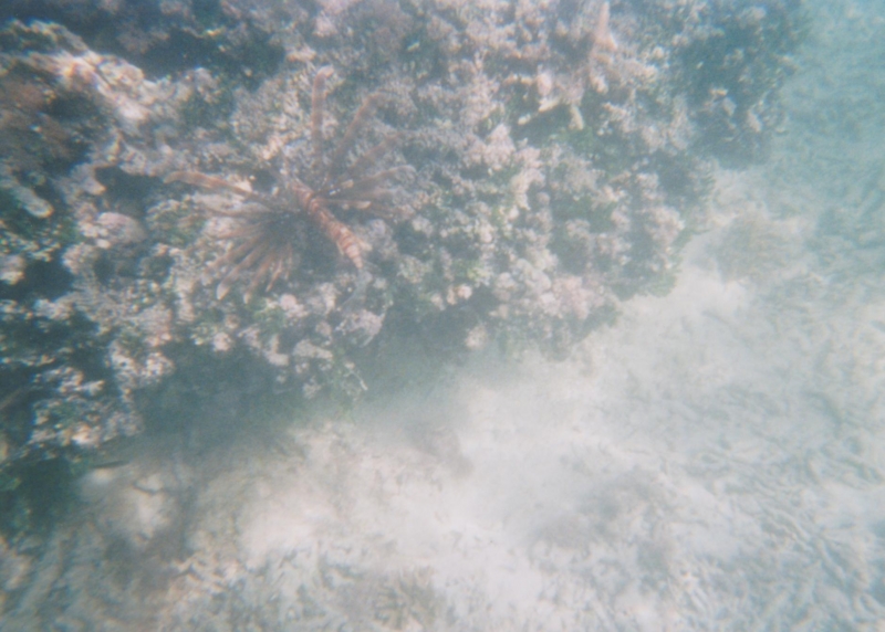 f:id:TeramotoM:20120729113901j:image:w360