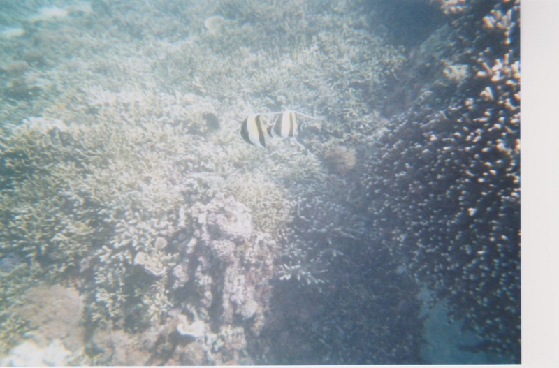 f:id:TeramotoM:20120729113905j:image:w360