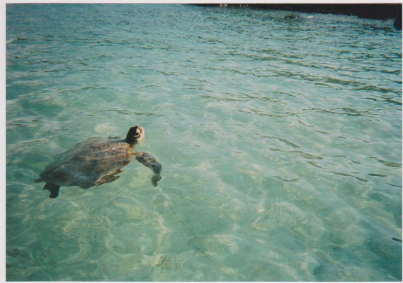 f:id:TeramotoM:20120729113919j:image:w360