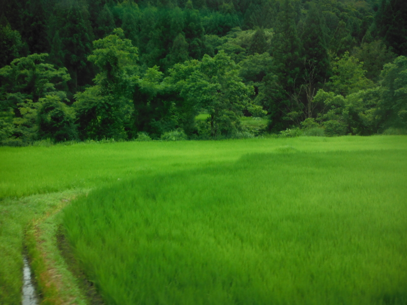 f:id:TeramotoM:20120808133107j:image:w360