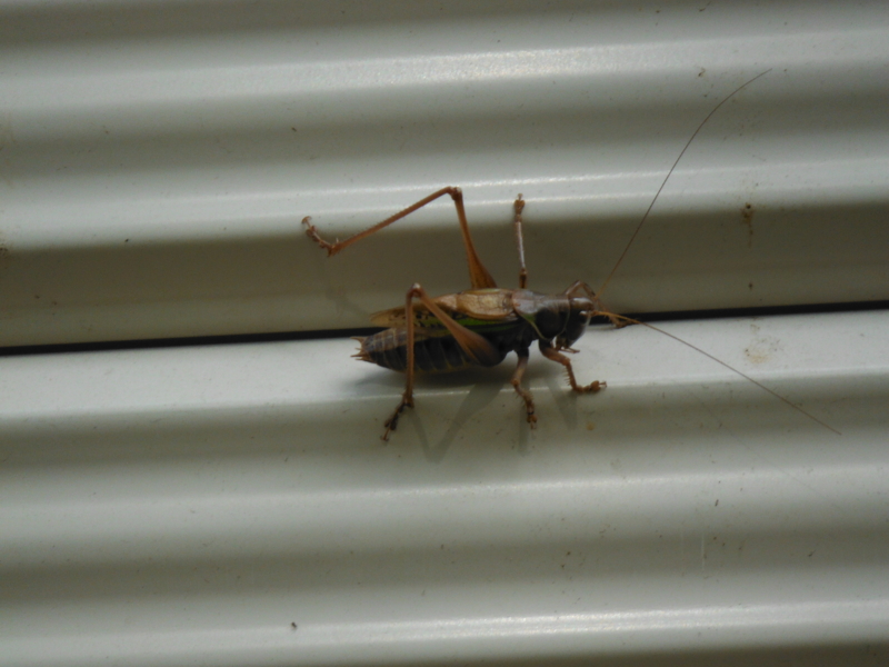 f:id:TeramotoM:20120808151726j:image:w360