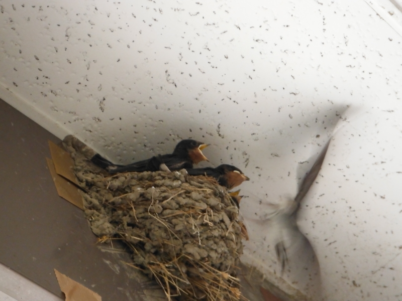 f:id:TeramotoM:20120808152119j:image:w360 f:id:TeramotoM:20120808152119j:image:w360