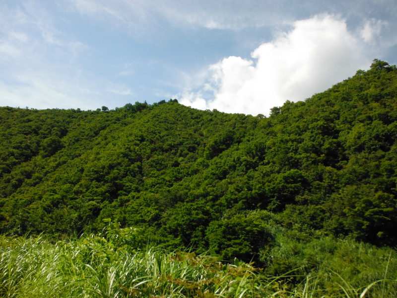 f:id:TeramotoM:20120809094916j:image:w360