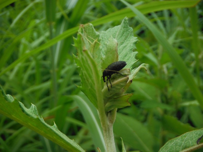 f:id:TeramotoM:20120811065528j:image:w360