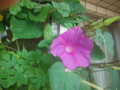 f:id:TeramotoM:20120830083320j:image:medium