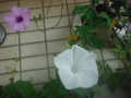 f:id:TeramotoM:20120830083329j:image:medium