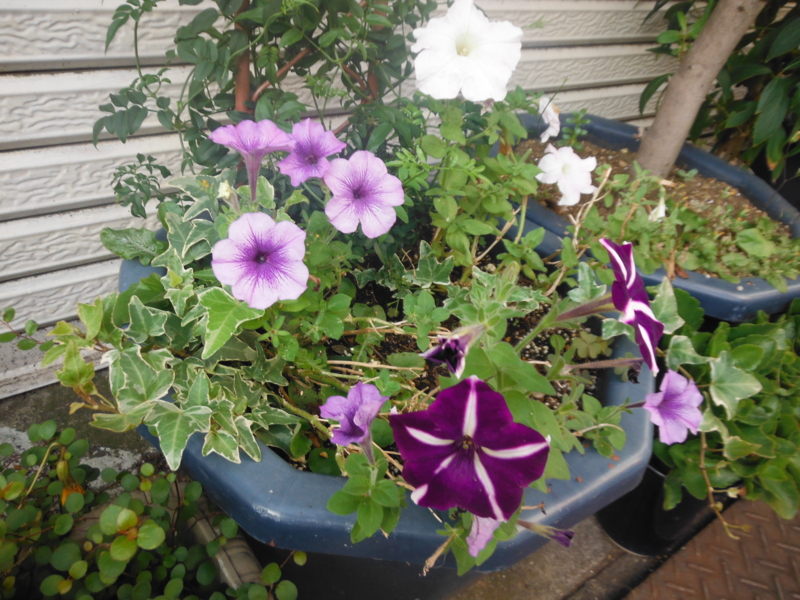 f:id:TeramotoM:20120911061808j:image:w360