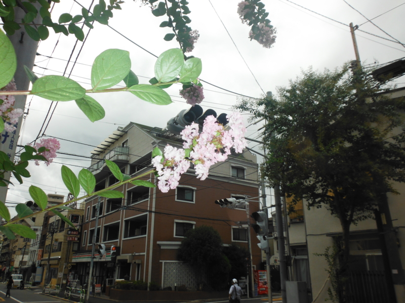 f:id:TeramotoM:20120917122056j:image:w360