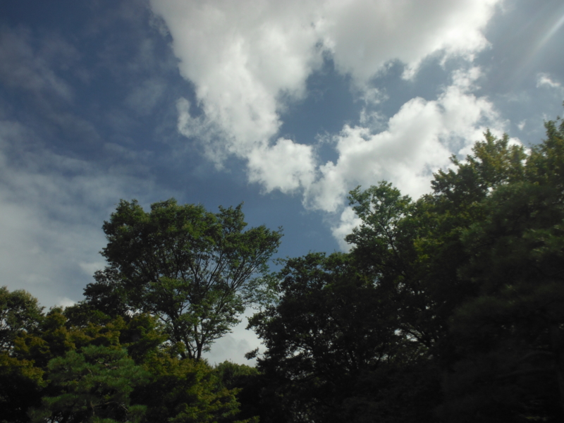 f:id:TeramotoM:20120917134535j:image:w360 f:id:TeramotoM:20120917134535j:image:w360