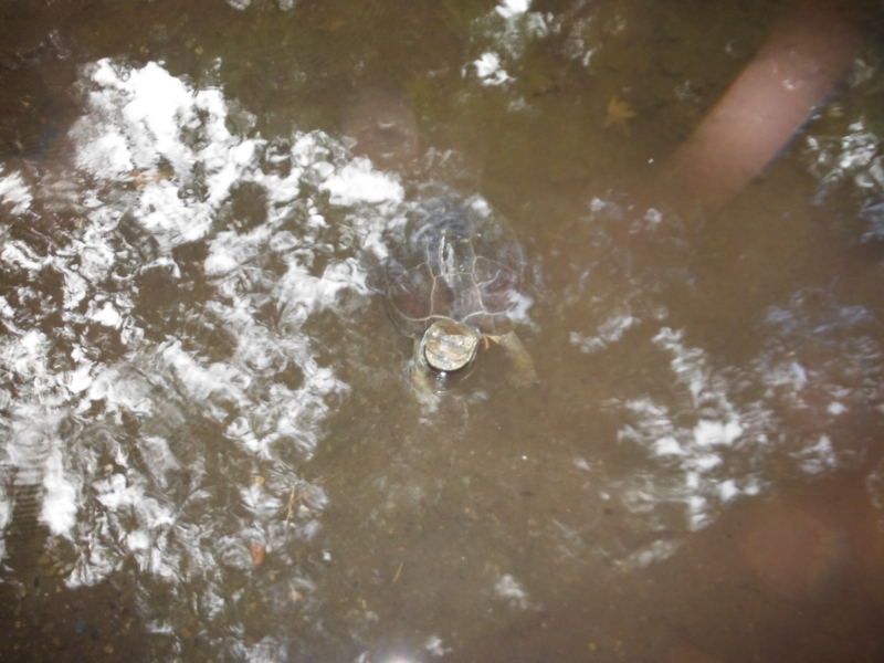 f:id:TeramotoM:20120917134934j:image:w360