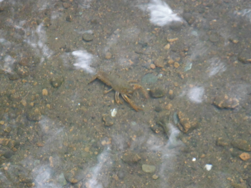 f:id:TeramotoM:20120917135153j:image:w360 f:id:TeramotoM:20120917135153j:image:w360