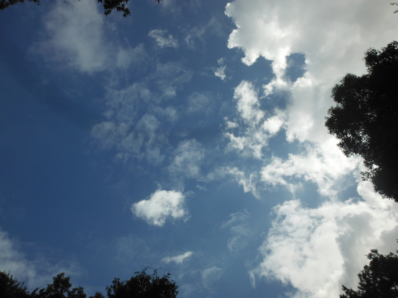 f:id:TeramotoM:20120917135908j:image:w360