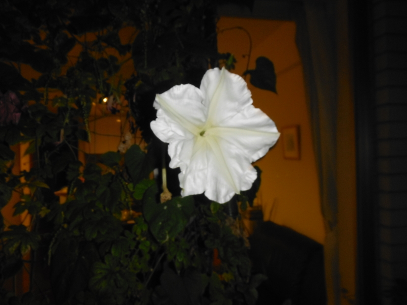 f:id:TeramotoM:20120929184229j:image:w360 f:id:TeramotoM:20120929184229j:image:w360