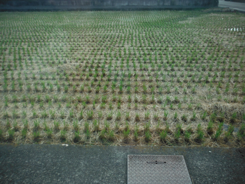 f:id:TeramotoM:20121019135930j:image:w360 f:id:TeramotoM:20121019135930j:image:w360