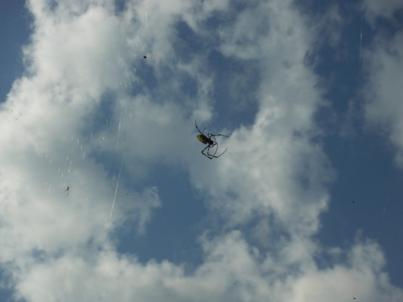 f:id:TeramotoM:20121020142548j:image:w360