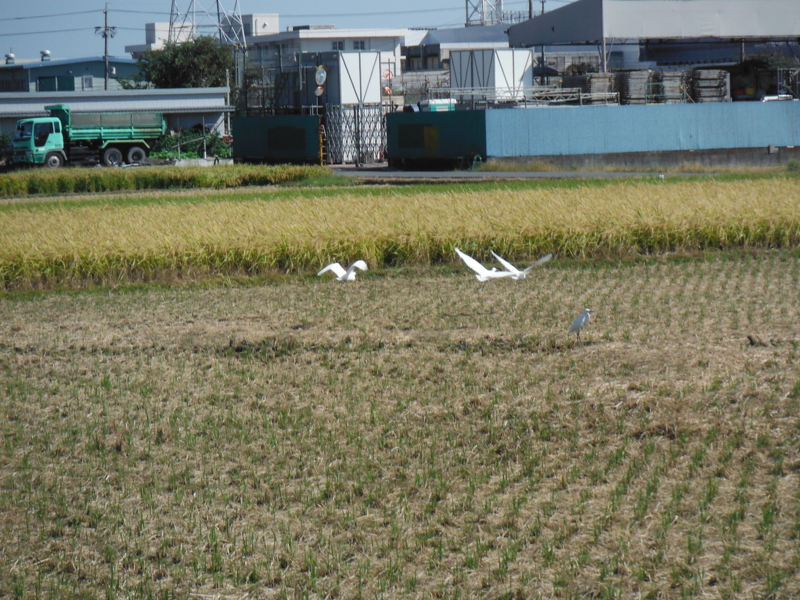 f:id:TeramotoM:20121021114010j:image:w360