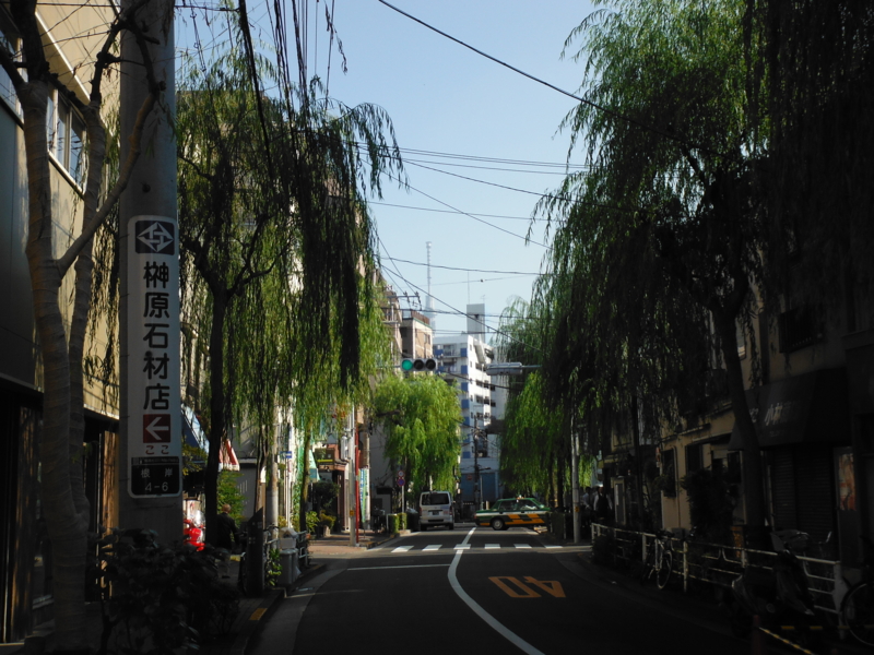 f:id:TeramotoM:20121107130120j:image:w360