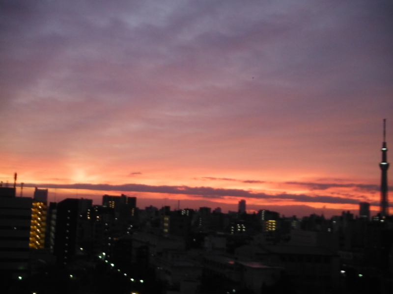 f:id:TeramotoM:20121111055314j:image:w360