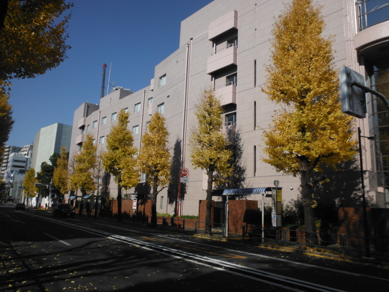f:id:TeramotoM:20121208121445j:image:w360