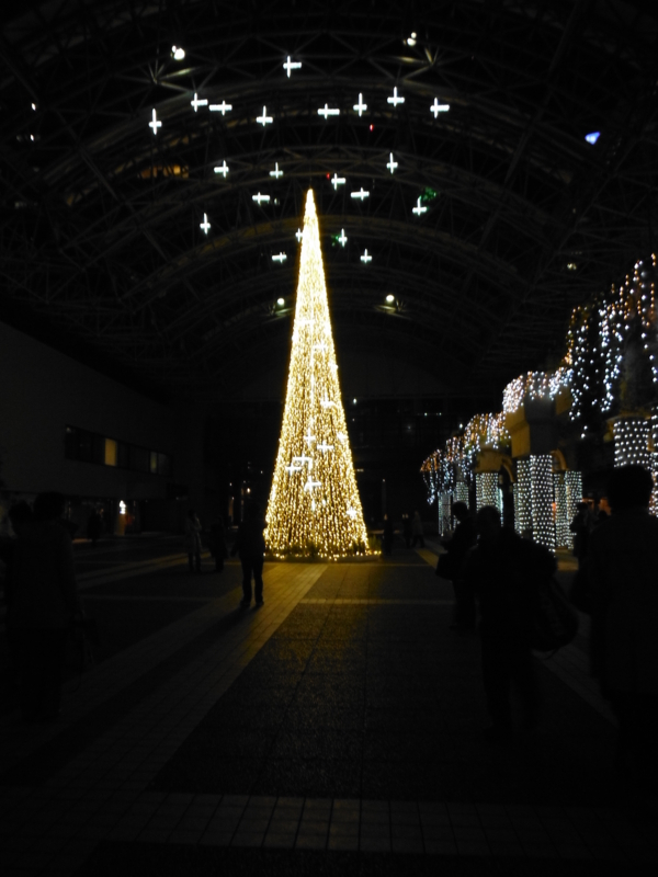 f:id:TeramotoM:20121214182230j:image:w360 f:id:TeramotoM:20121214182230j:image:w360