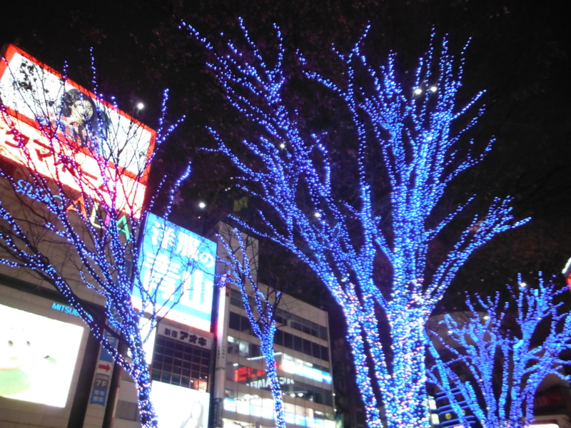 f:id:TeramotoM:20121218184053j:image:w360
