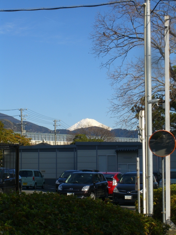f:id:TeramotoM:20130101111217j:image:w360