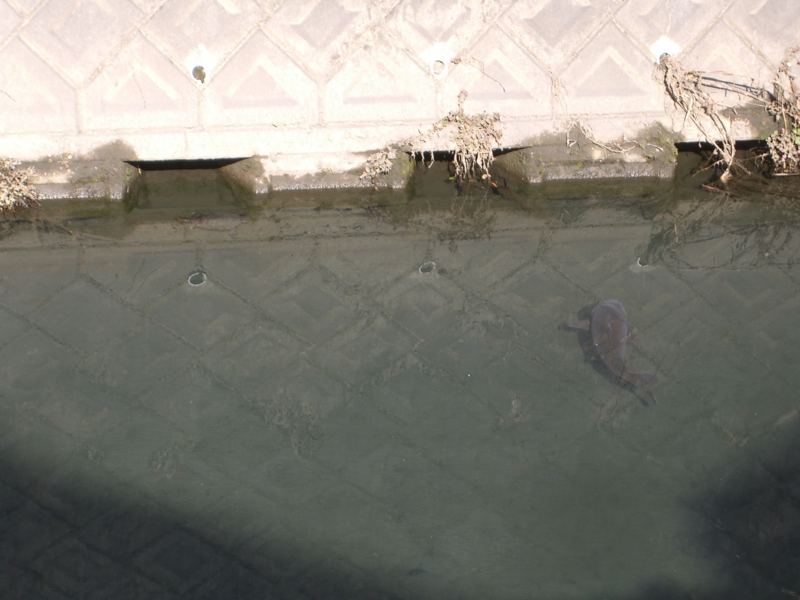 f:id:TeramotoM:20130101113515j:image:w360