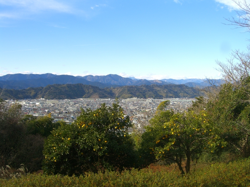 f:id:TeramotoM:20130103142639j:image:w360
