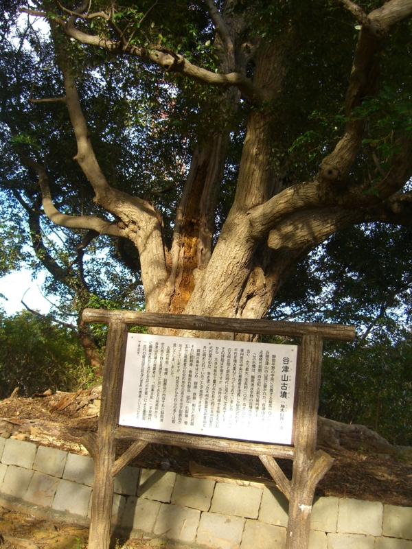 f:id:TeramotoM:20130103143135j:image:w360