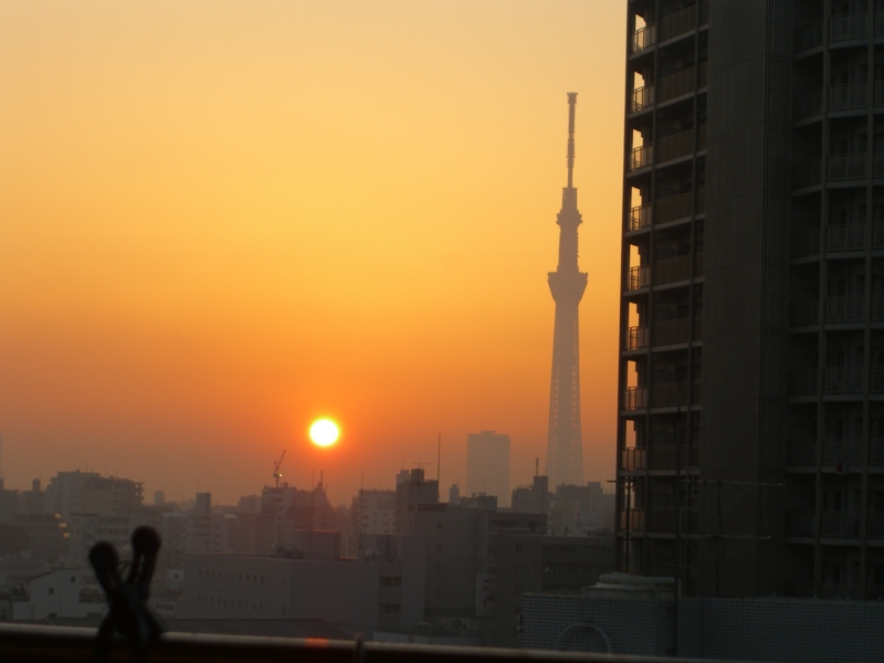 f:id:TeramotoM:20130125065657j:image:w360
