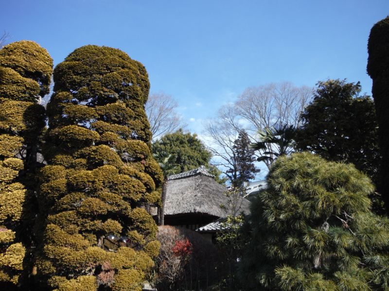 f:id:TeramotoM:20130217101158j:image:w360
