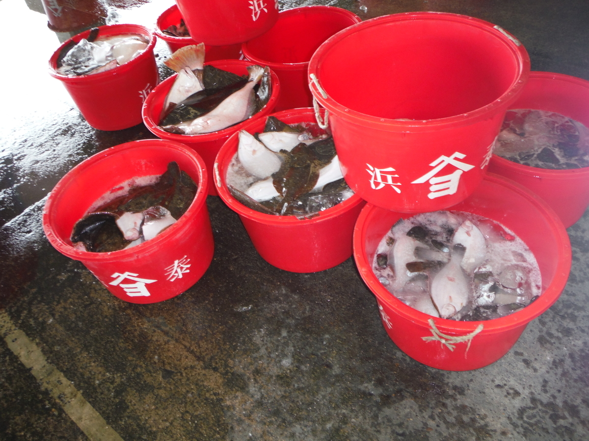 f:id:TeramotoM:20130218101407j:plain