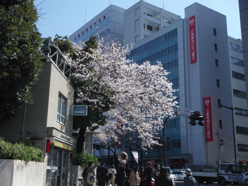 f:id:TeramotoM:20130321104854j:image:w360