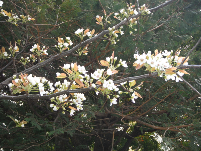 f:id:TeramotoM:20130328115141j:image:w360