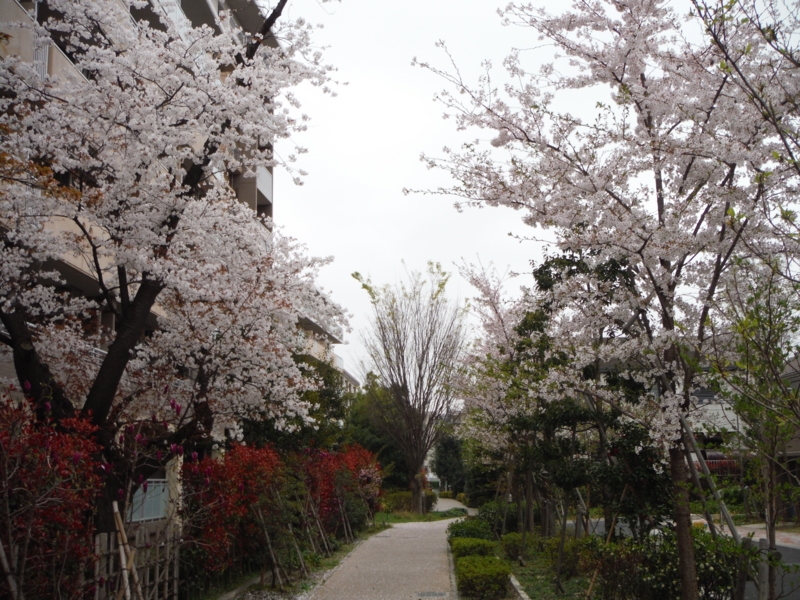 f:id:TeramotoM:20130330124902j:image:w360