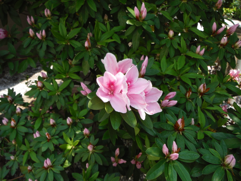 f:id:TeramotoM:20130415121142j:image:w360